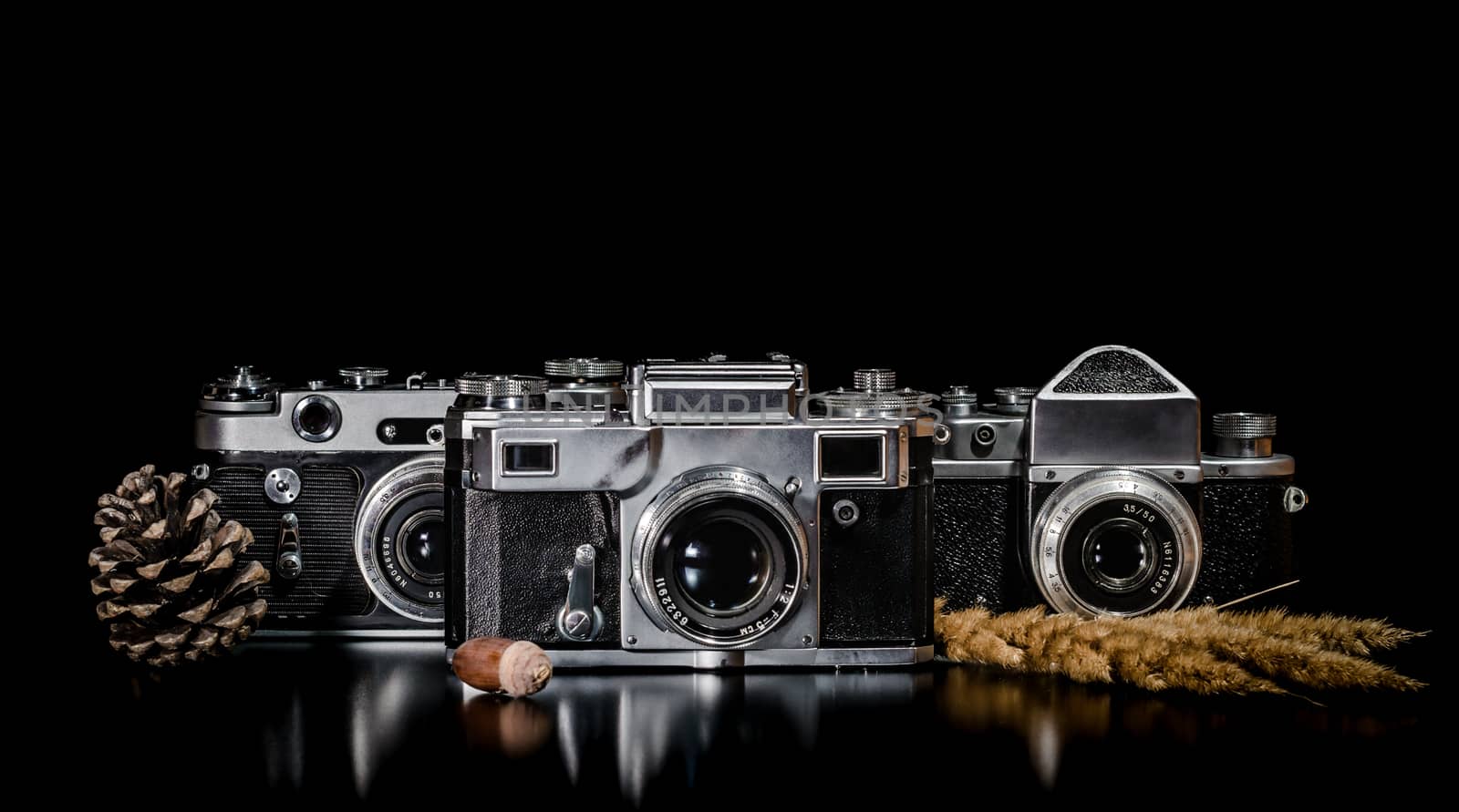 vintage cameras with a fir cone and spikelets on a black background