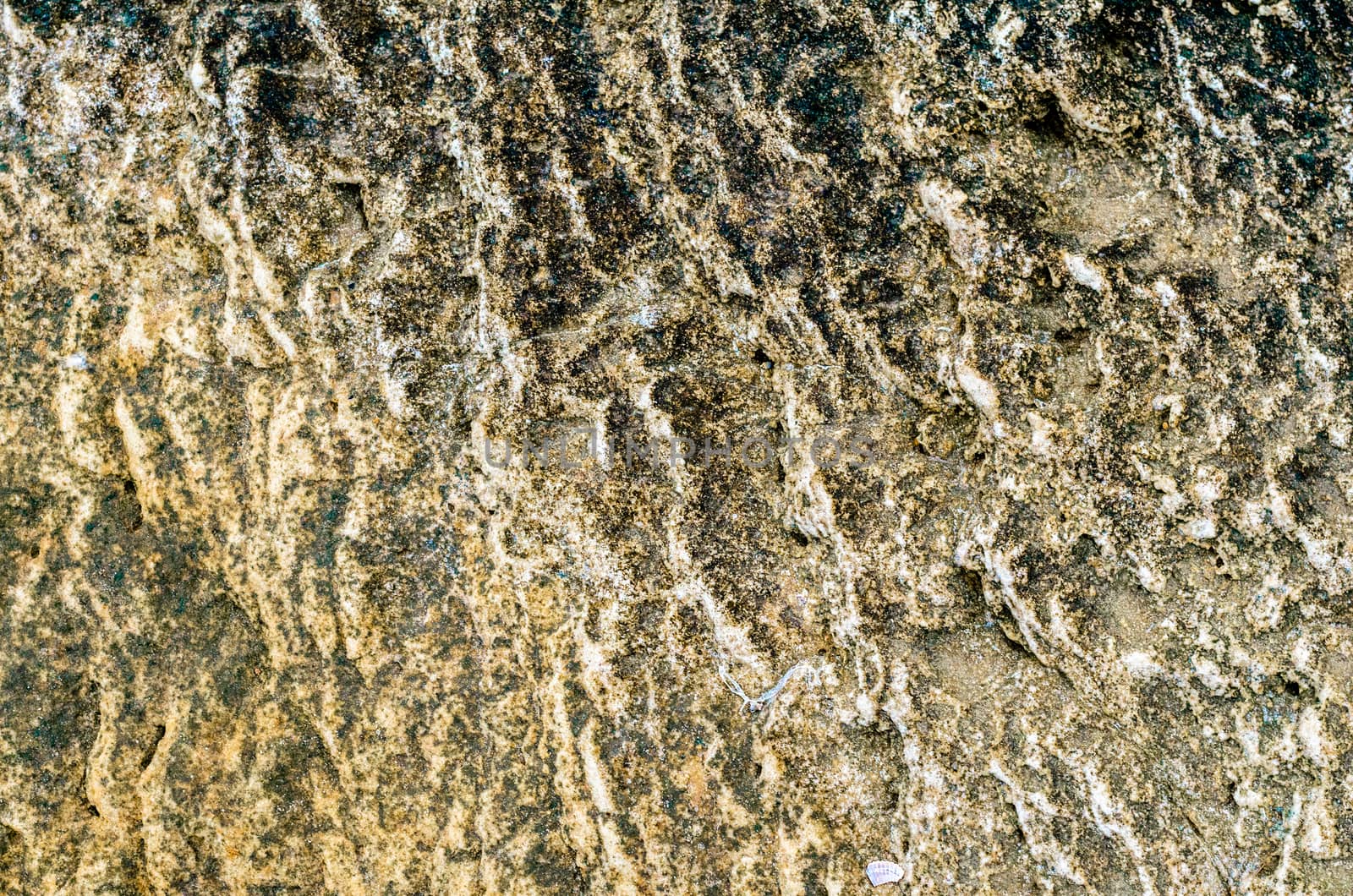 stone texture rocks