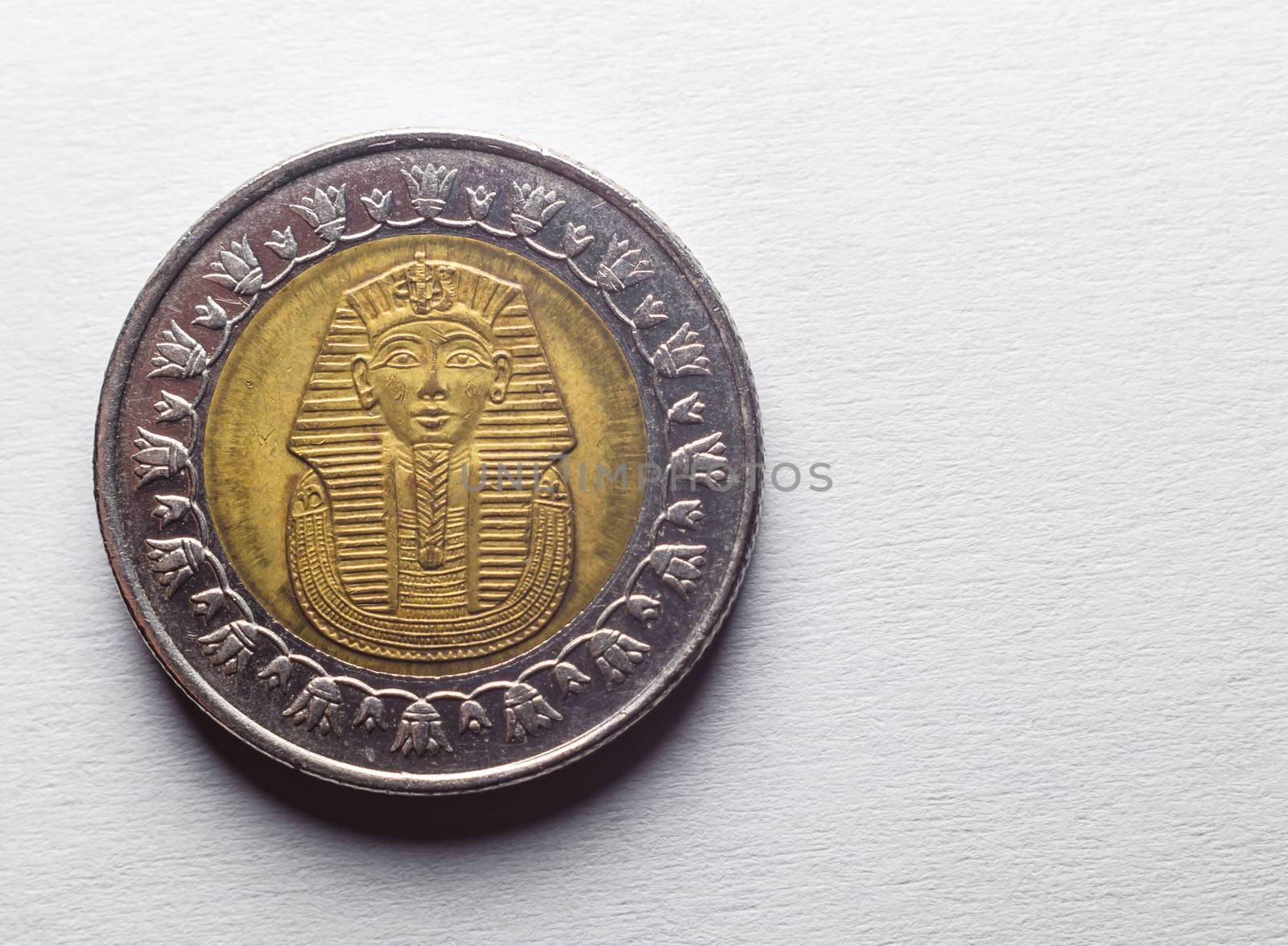 reverse side of the Egyptian pound coin with the image of the Sphinx