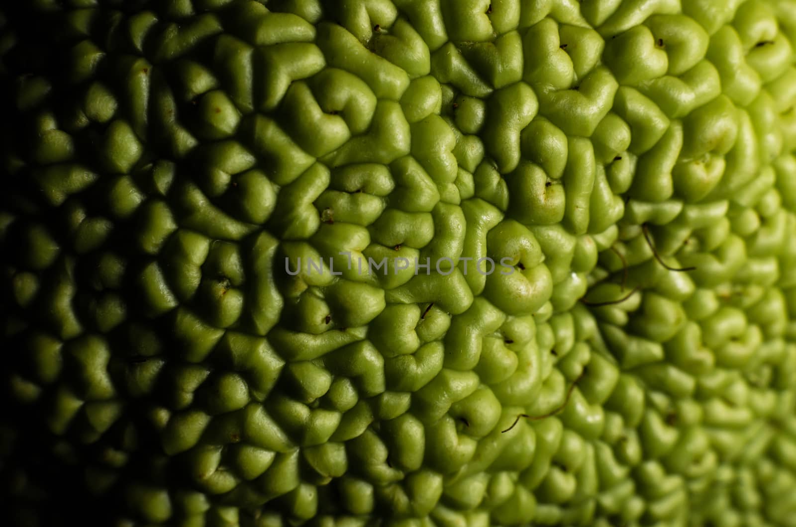 texture of green fruit rind macro closeup