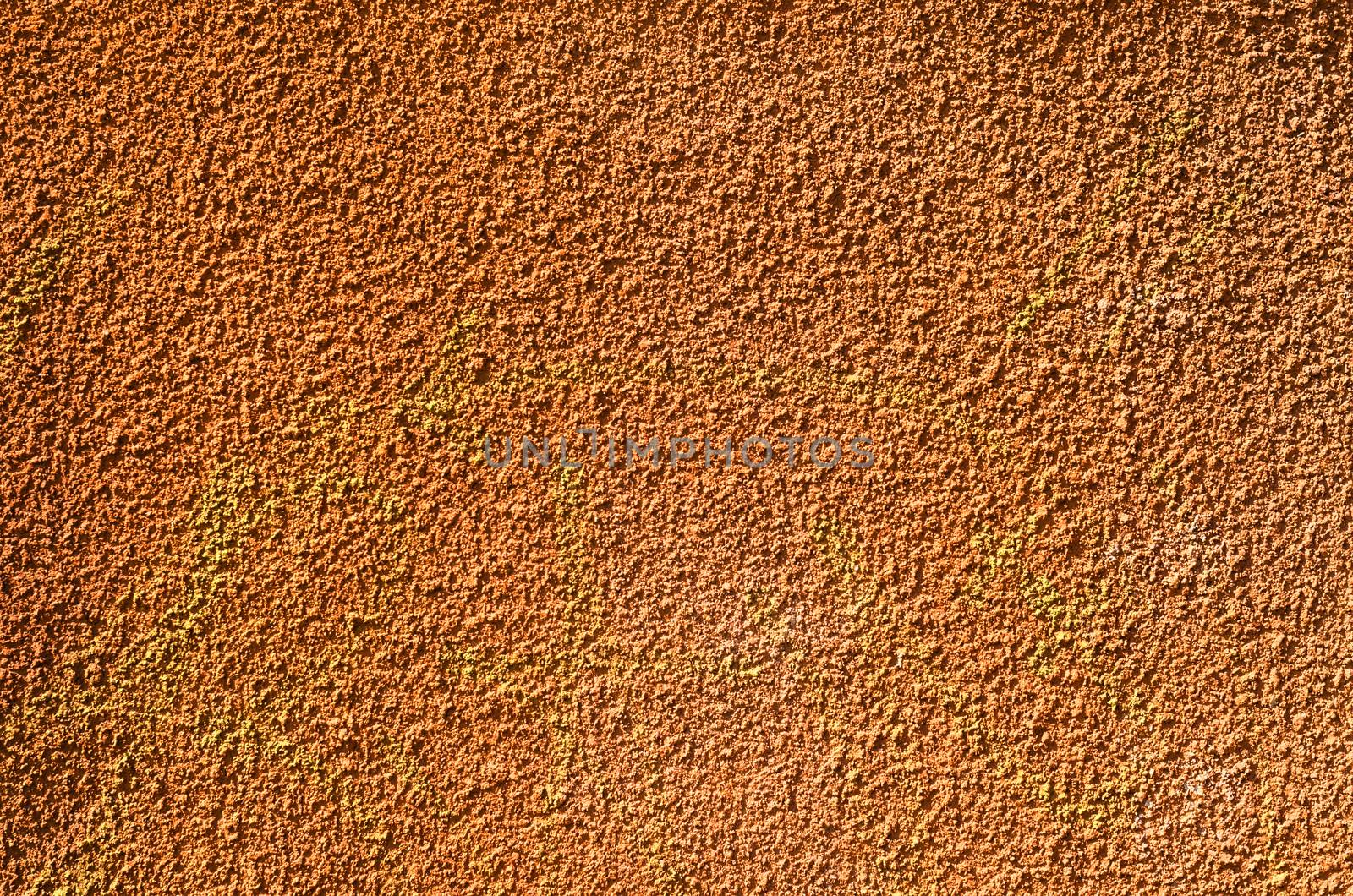 orange texture wall with orange plaster
