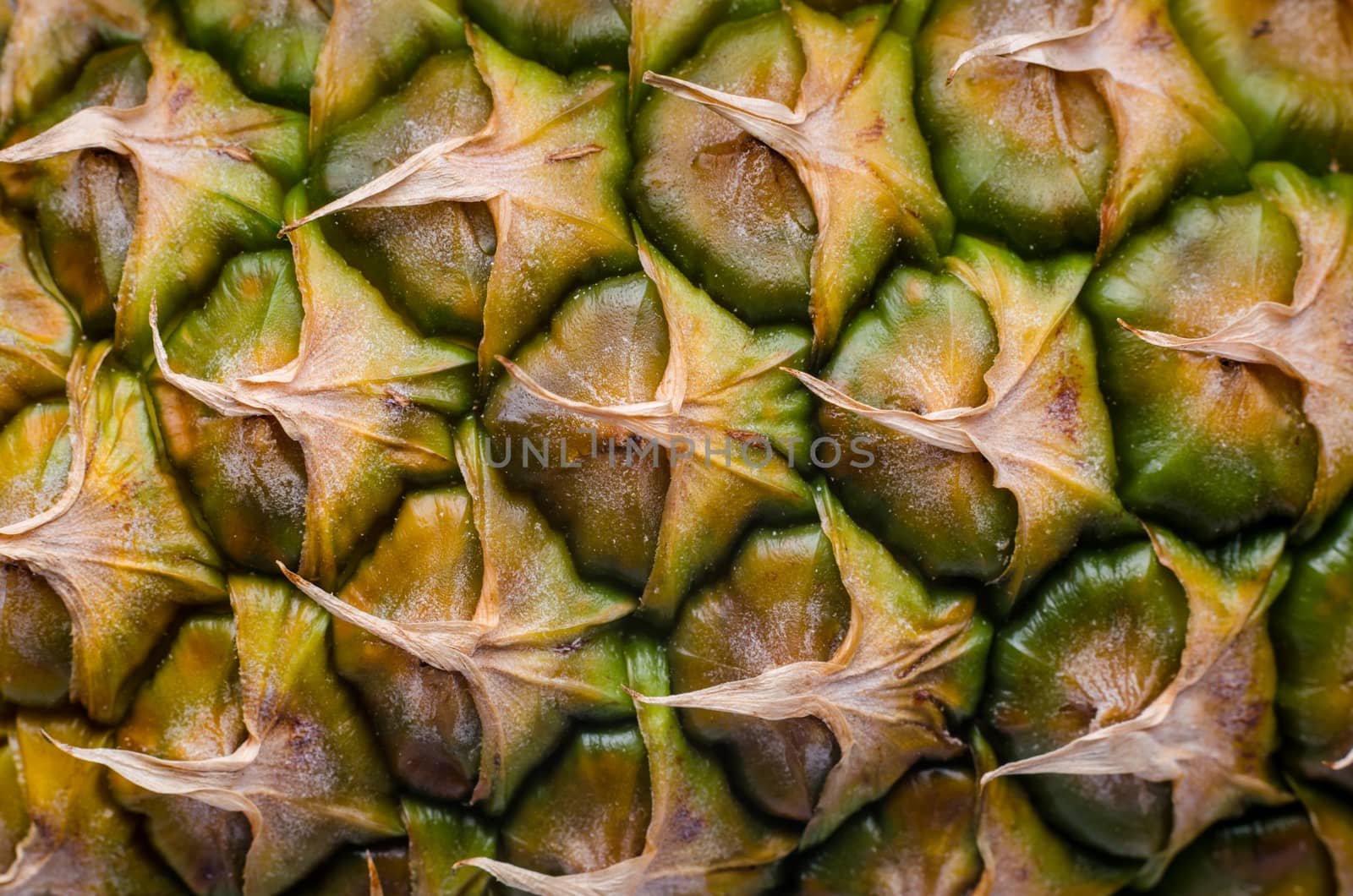 peel of ripe pineapple macro closeup