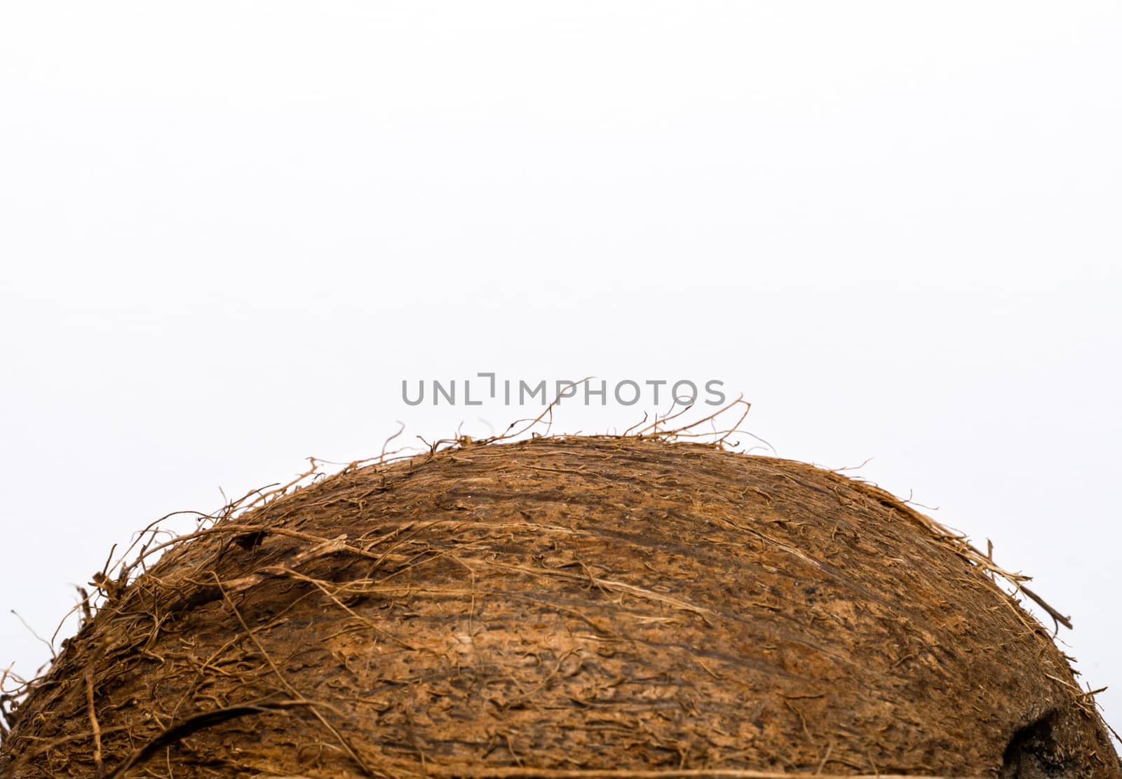 coconut on white background macro closeup