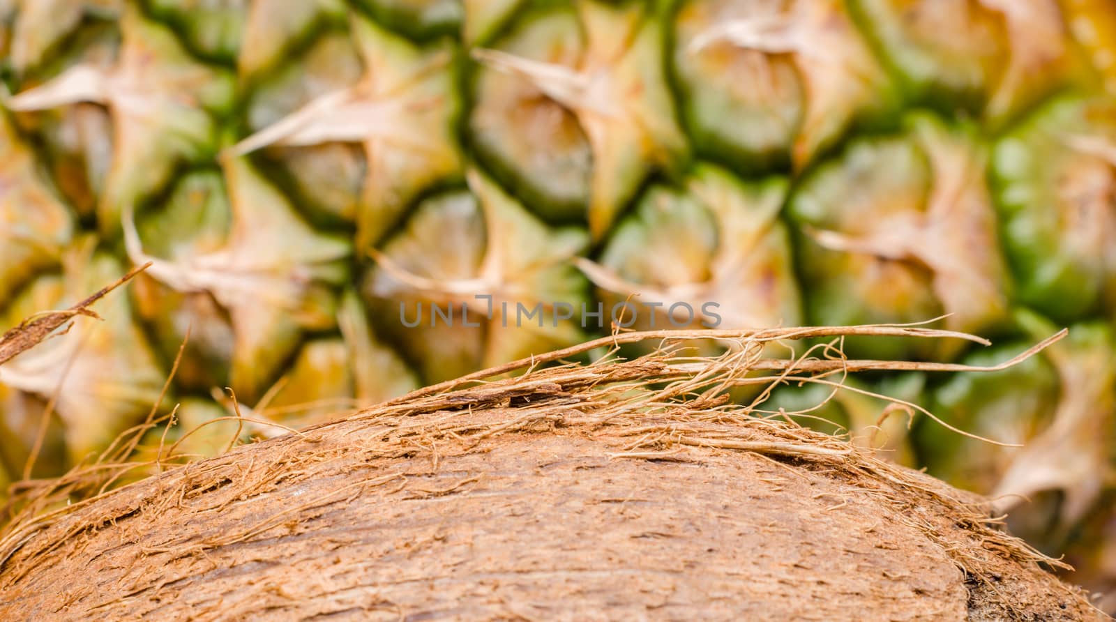coconut slice on pineapple background closeup macro