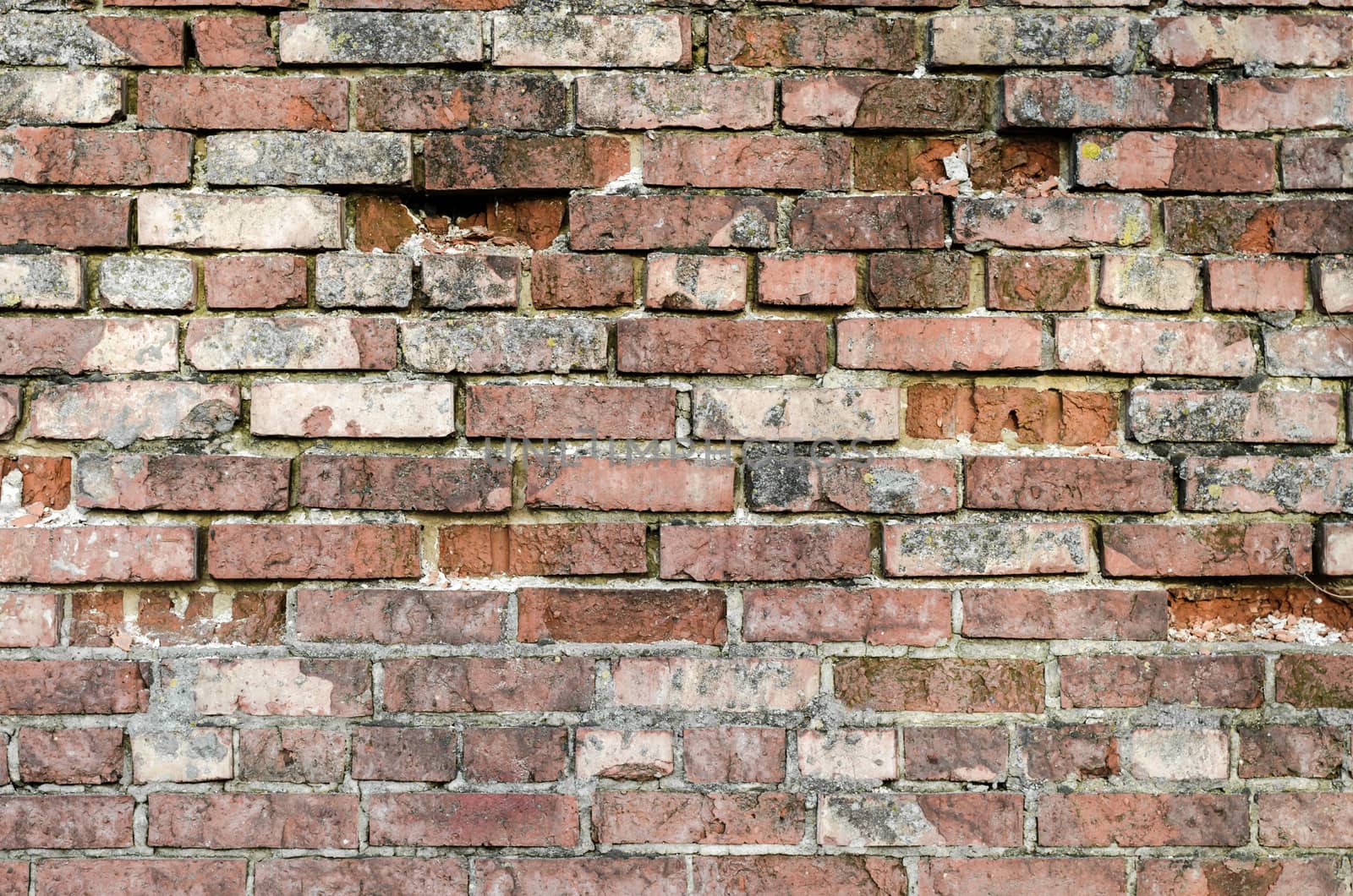 texture of old brick wall