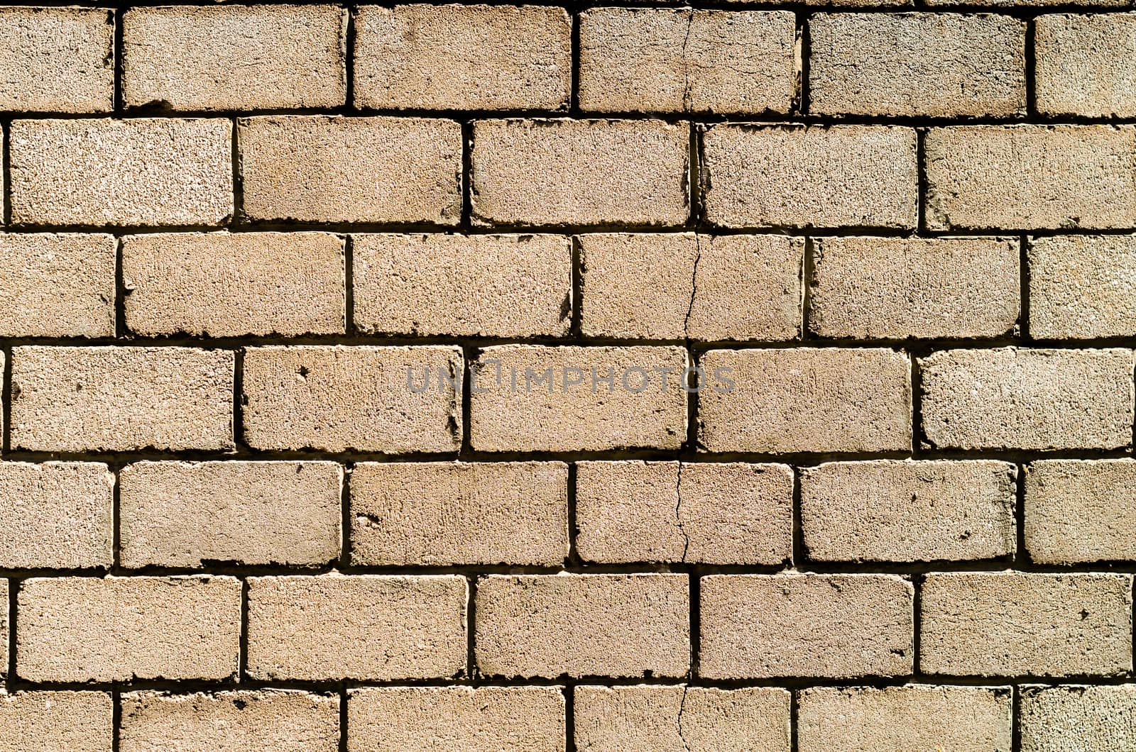 texture of a wall of concrete blocks with a crack