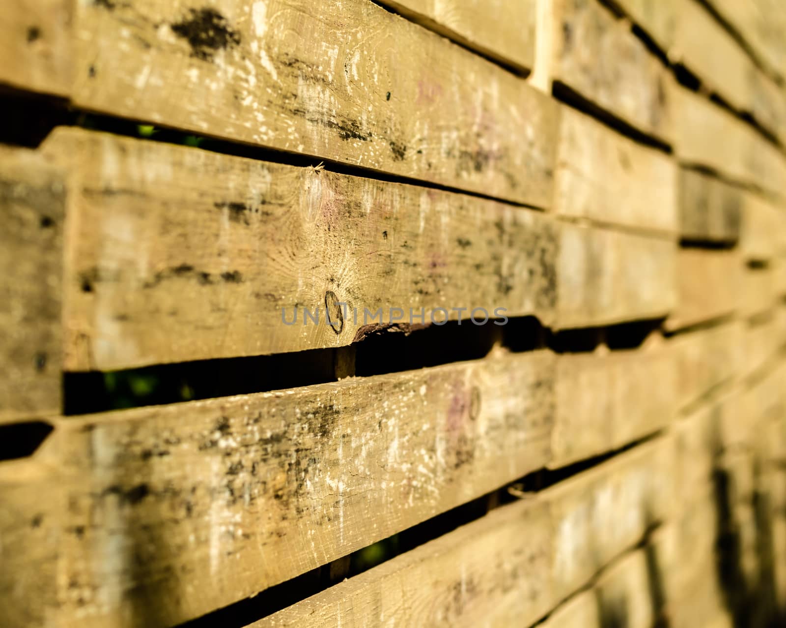 wood surface texture