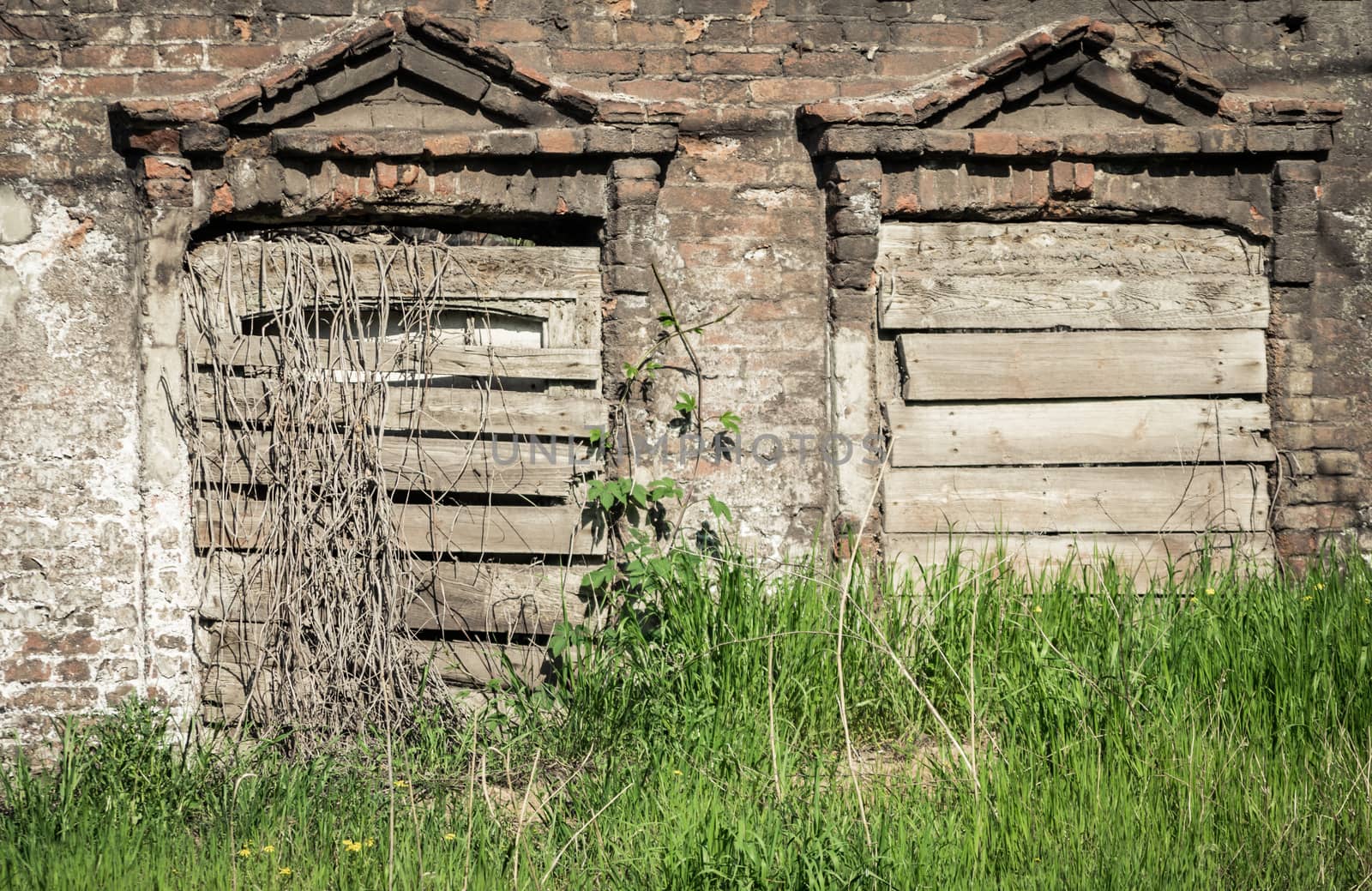 old house with boarded up windows and green plants