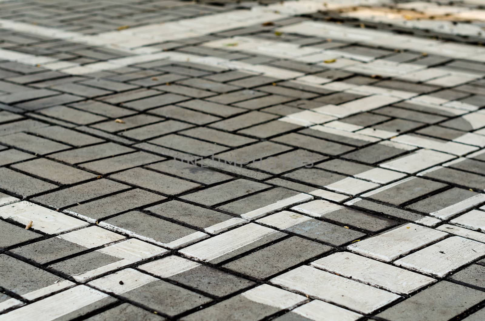abstract drawing of white paint on the paving slab