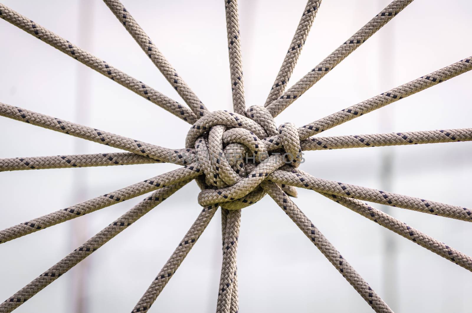 many ropes and one big knot closeup