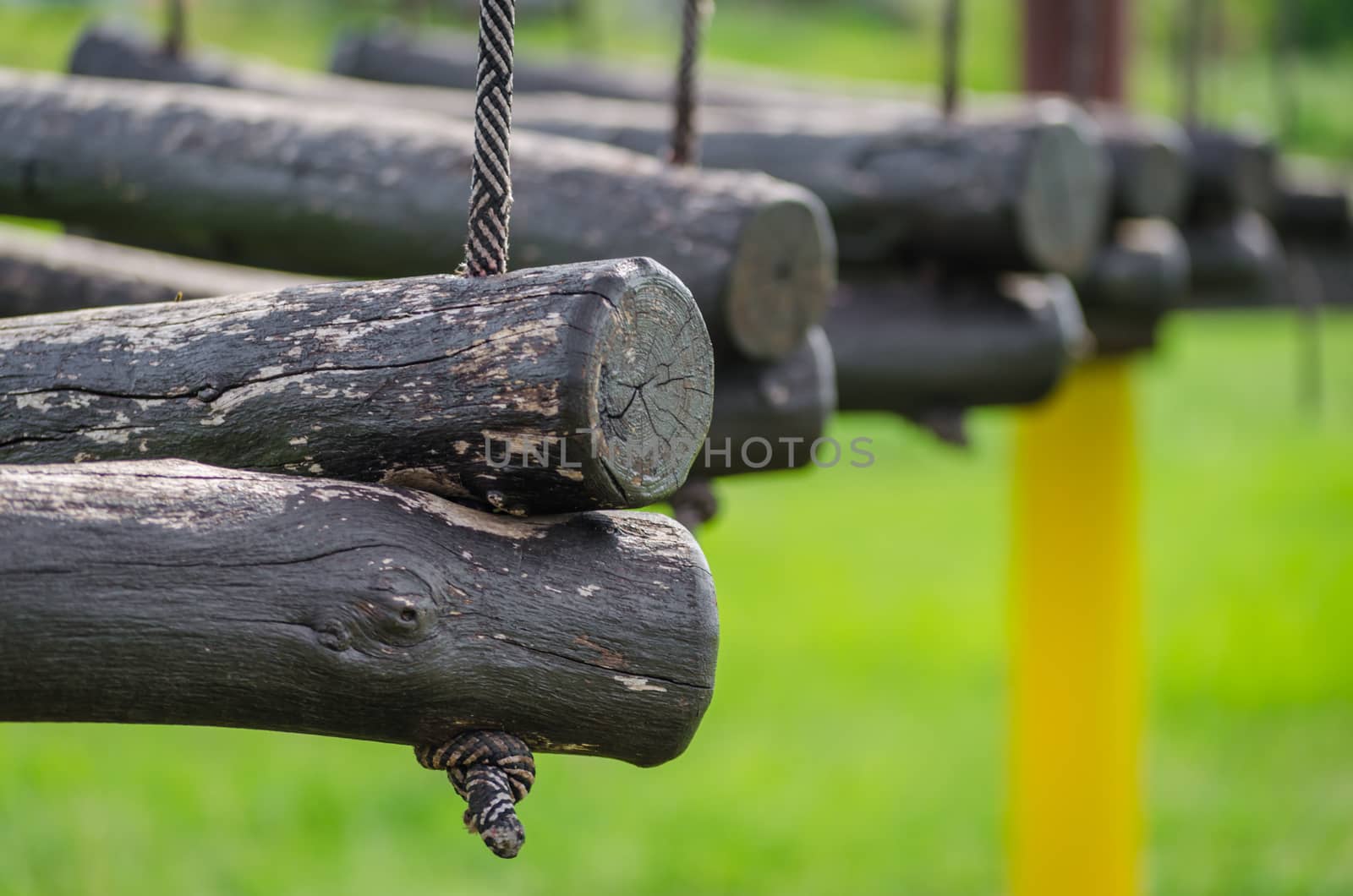 old wooden logs on a rope on a green background closeup