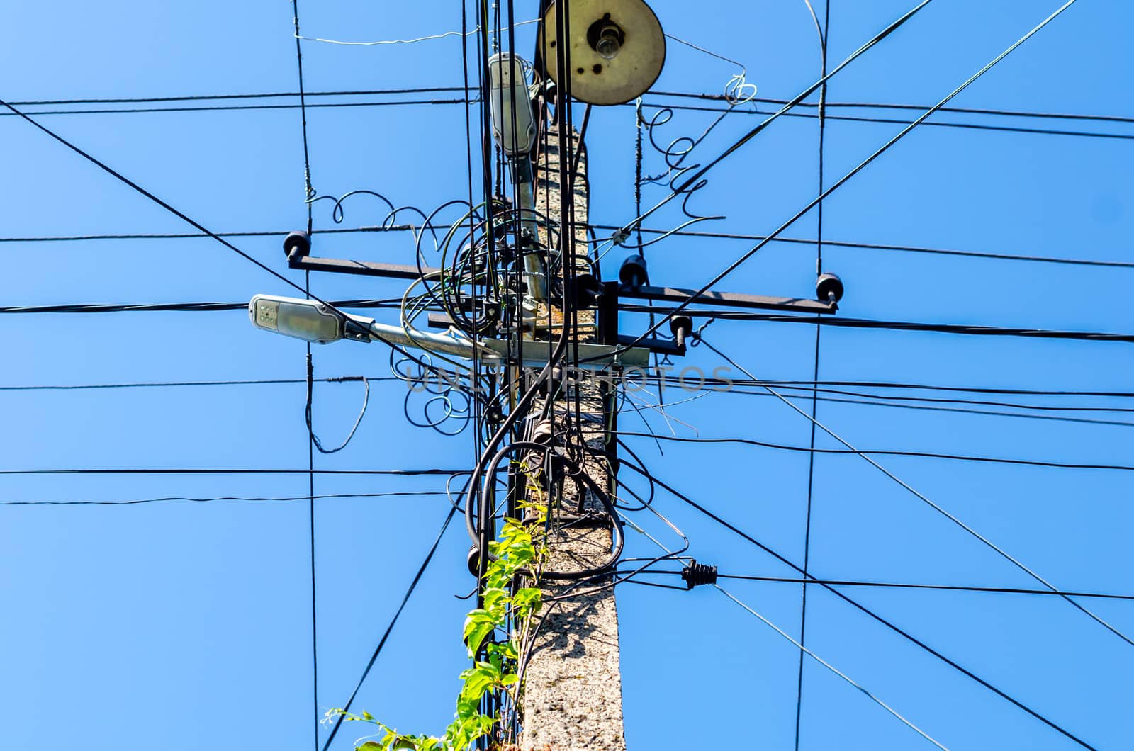 pole with electric wires and street lighting with green leaves against a blue sky background