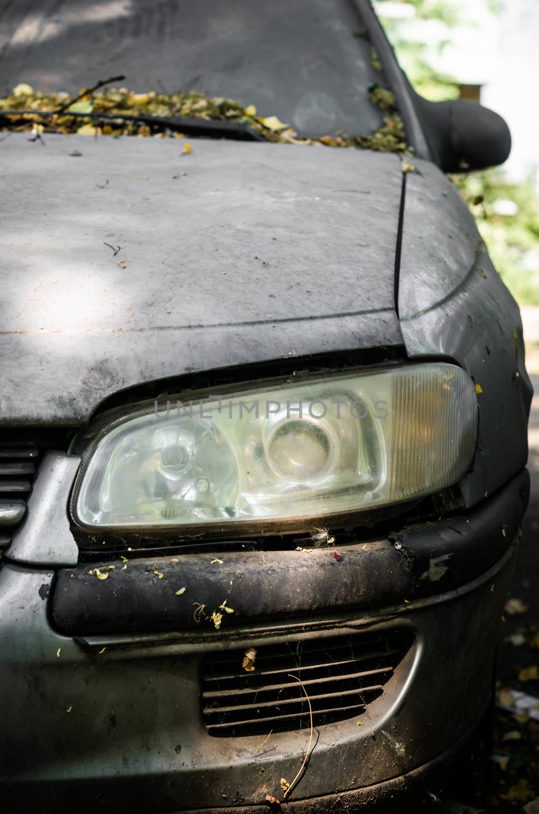 abandoned car covered with yellow leaves