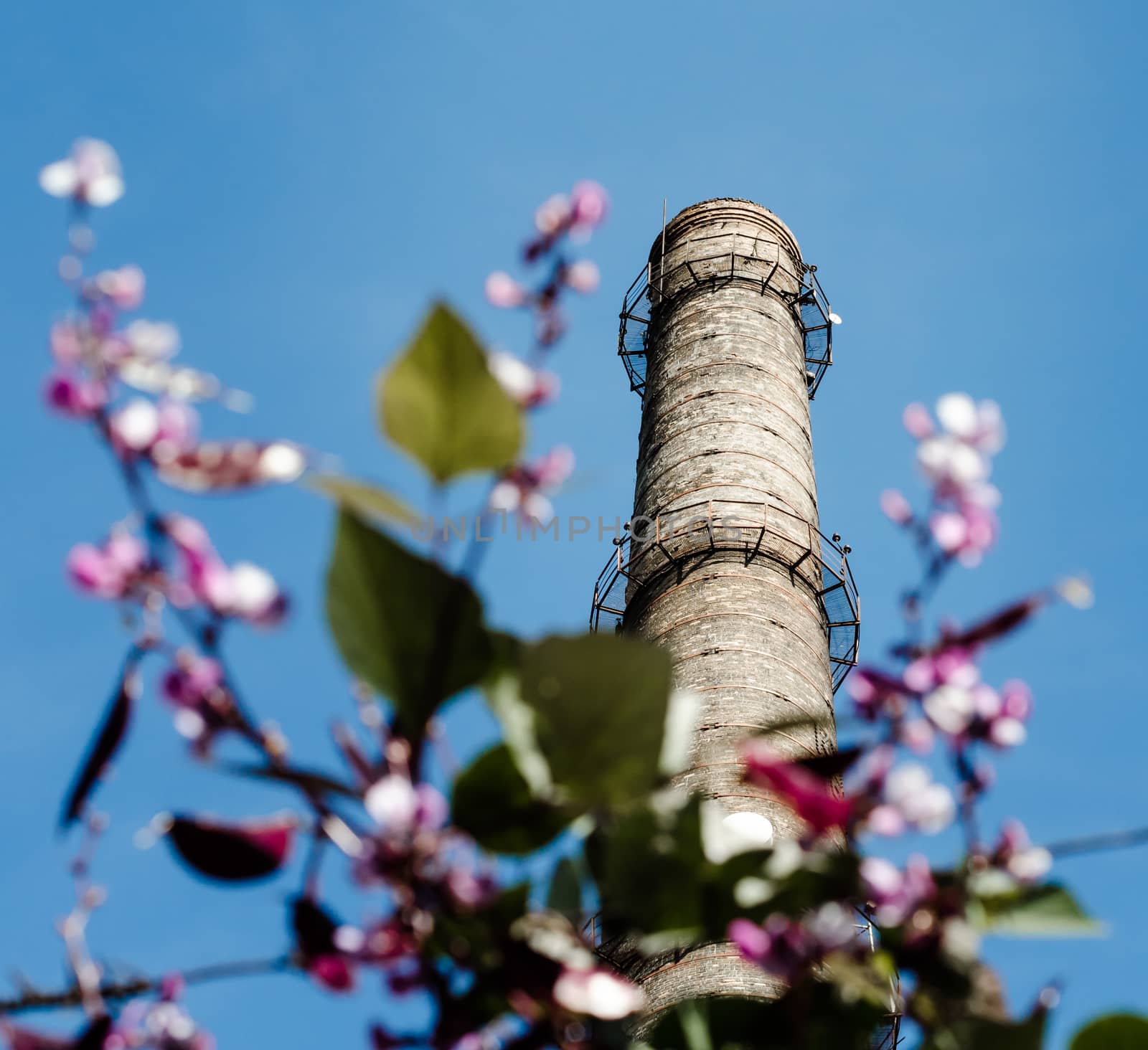 factory chimney against a blue sky surrounded by flowers