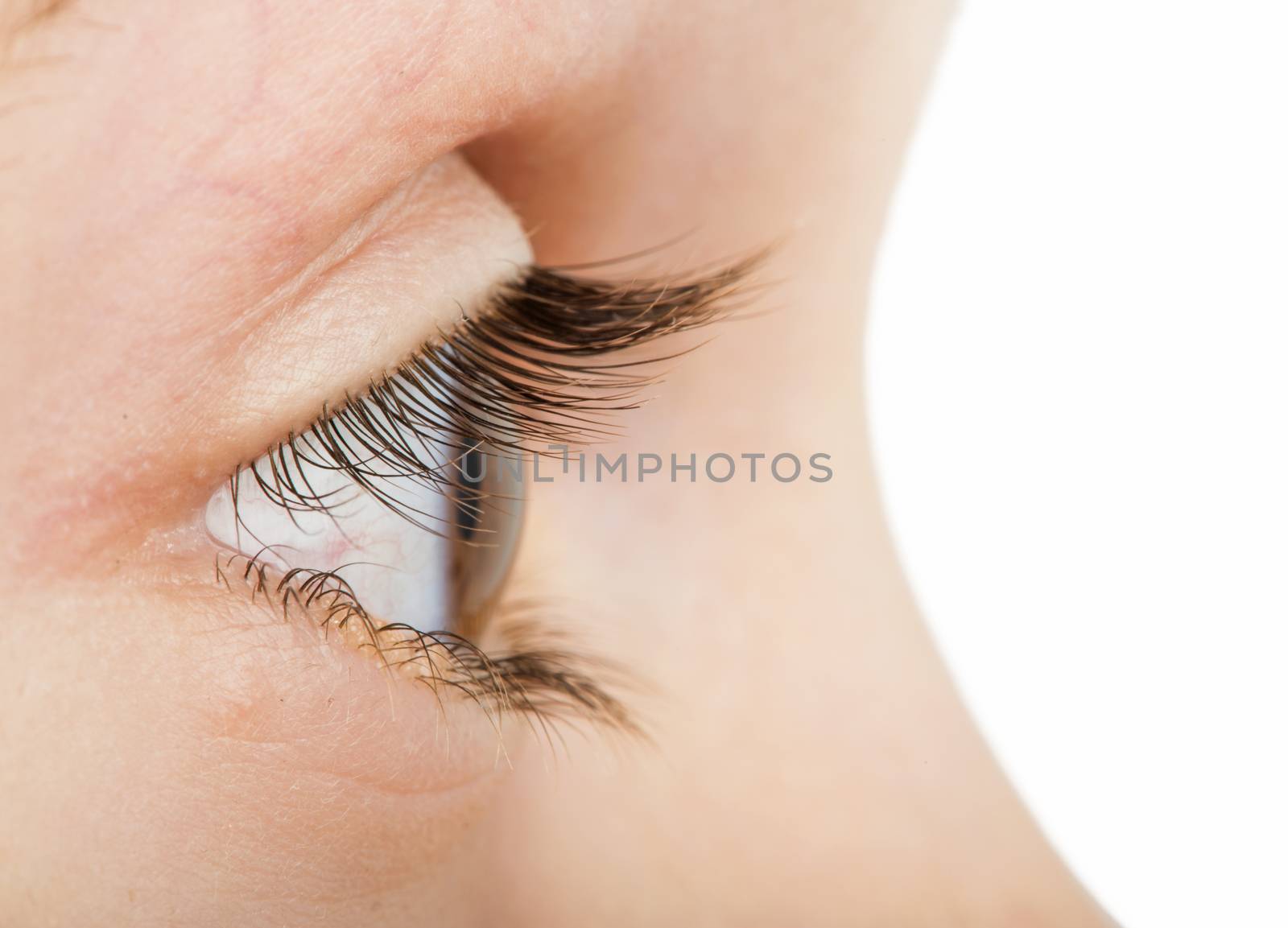 Human eye in profile. Close up studio shot