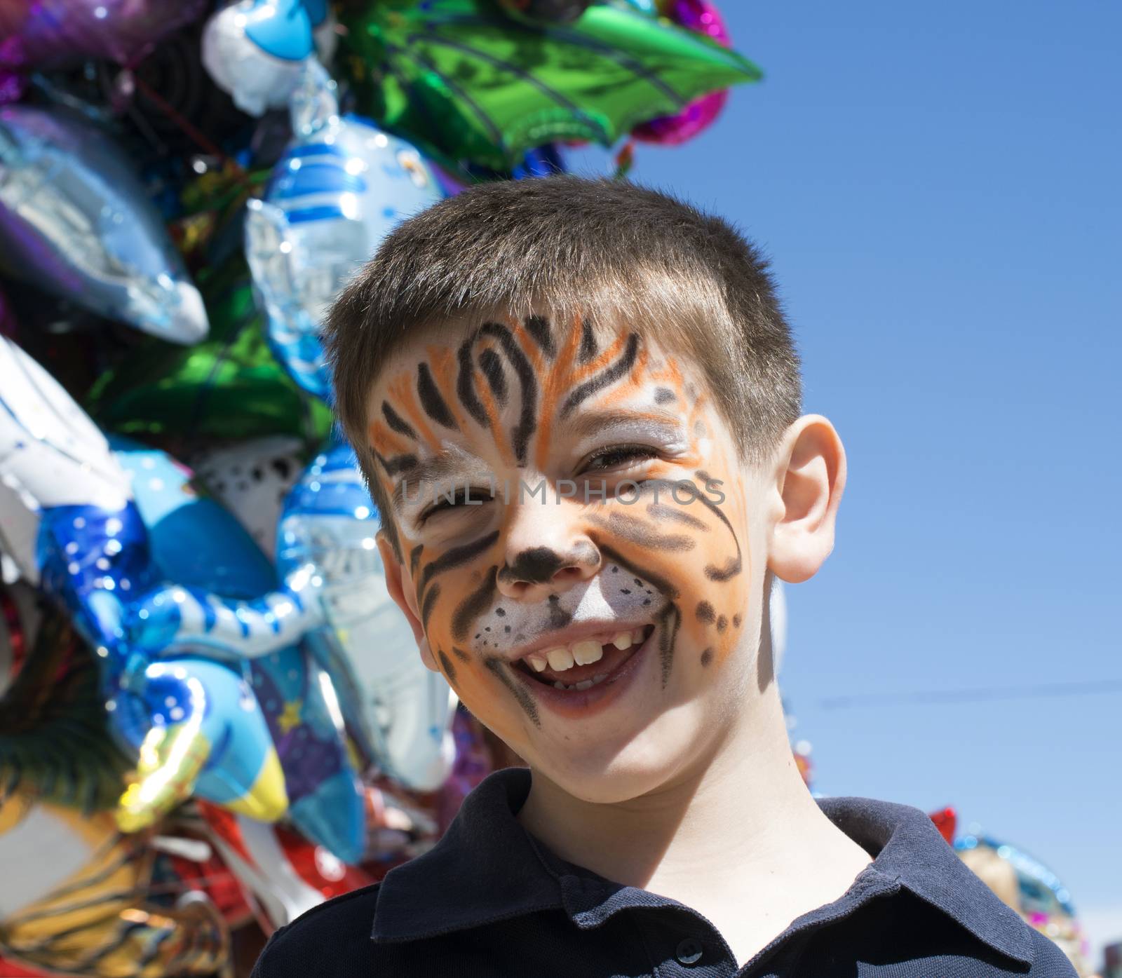 Child with painted face. Tiger paint. Boy on children's holiday