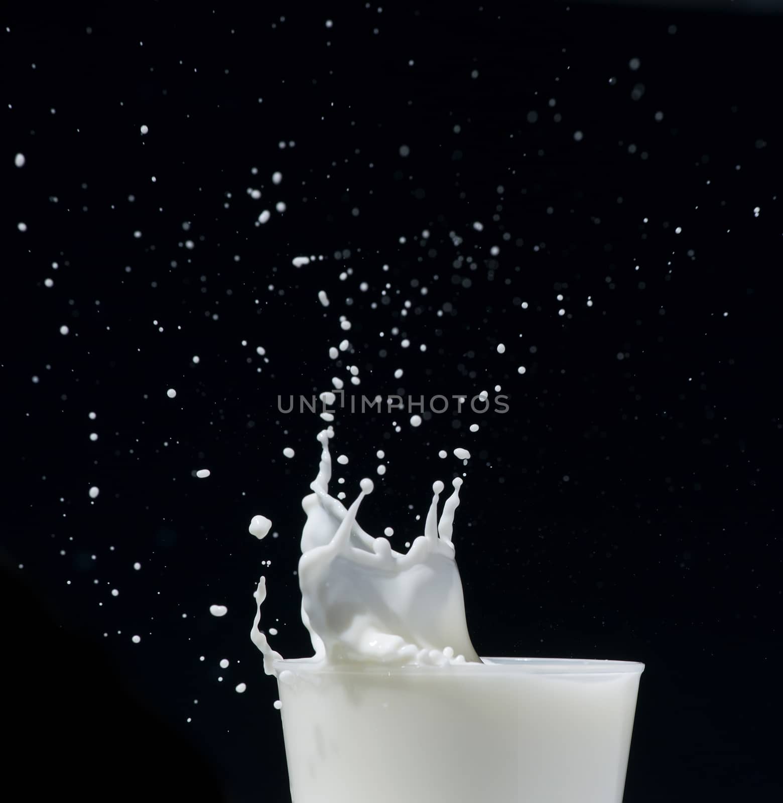 Splashing milk black isolated close up studio shot
