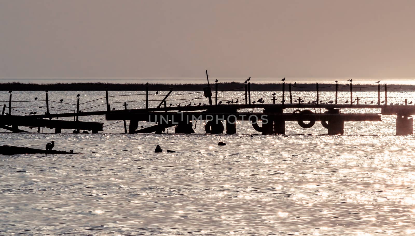 silhouette of an old broken pier with birds in the sea in summer by Gera8th