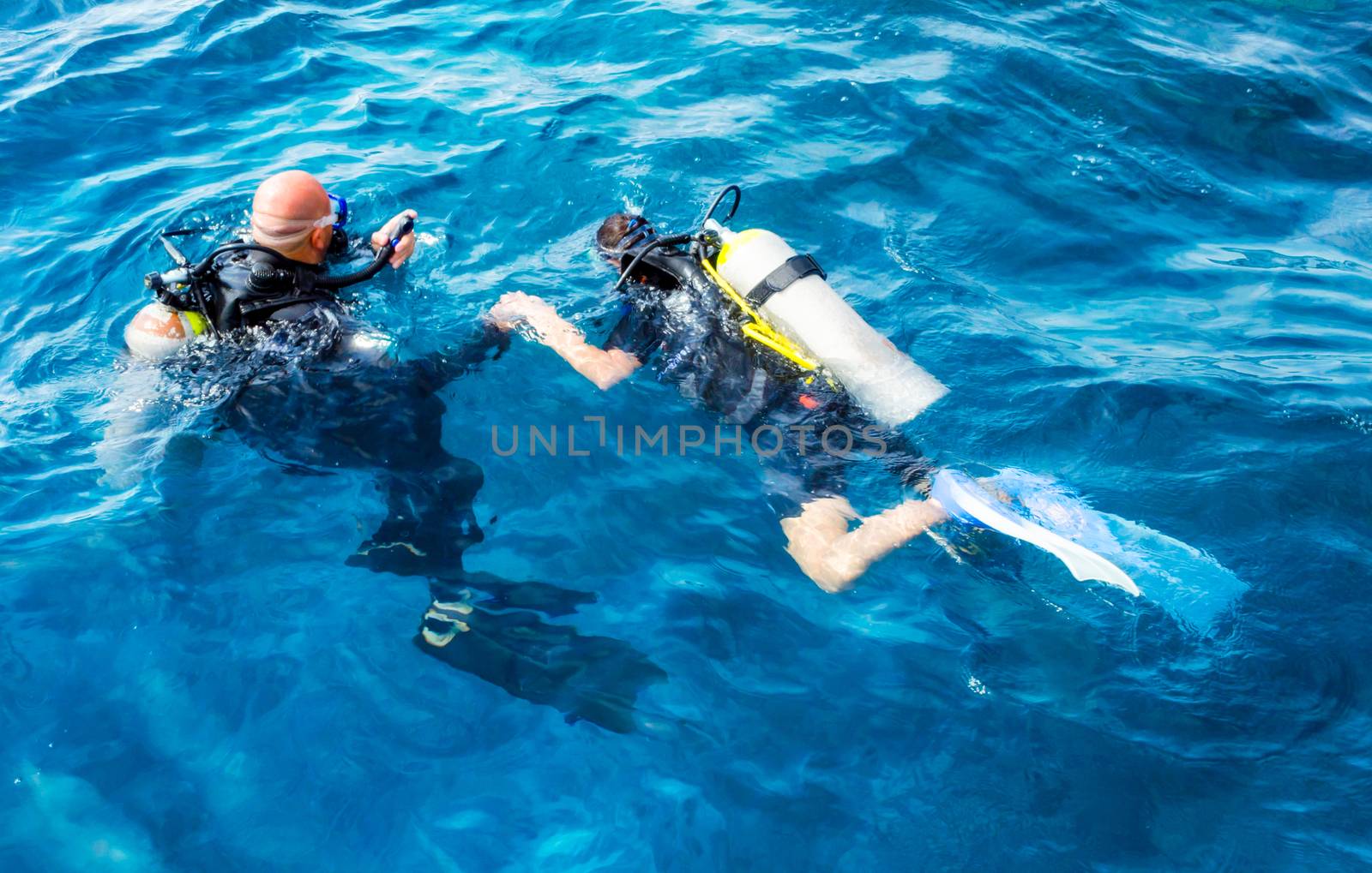 divers man and woman swim in the Red Sea in Egypt in Sharm El Sheikh