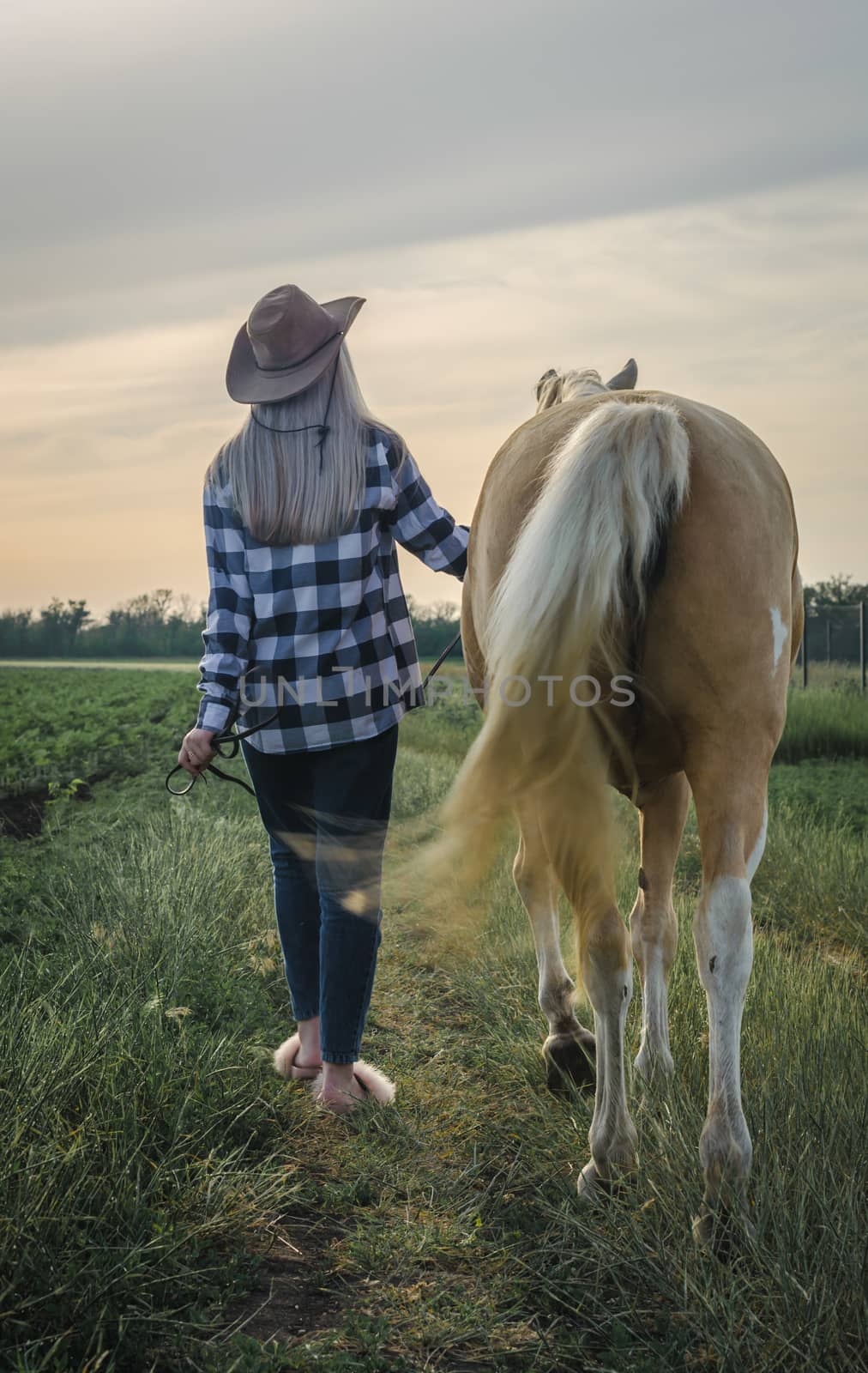 young blonde girl in a hat and a plaid shirt walks with a horse in the evening on a farm in the village