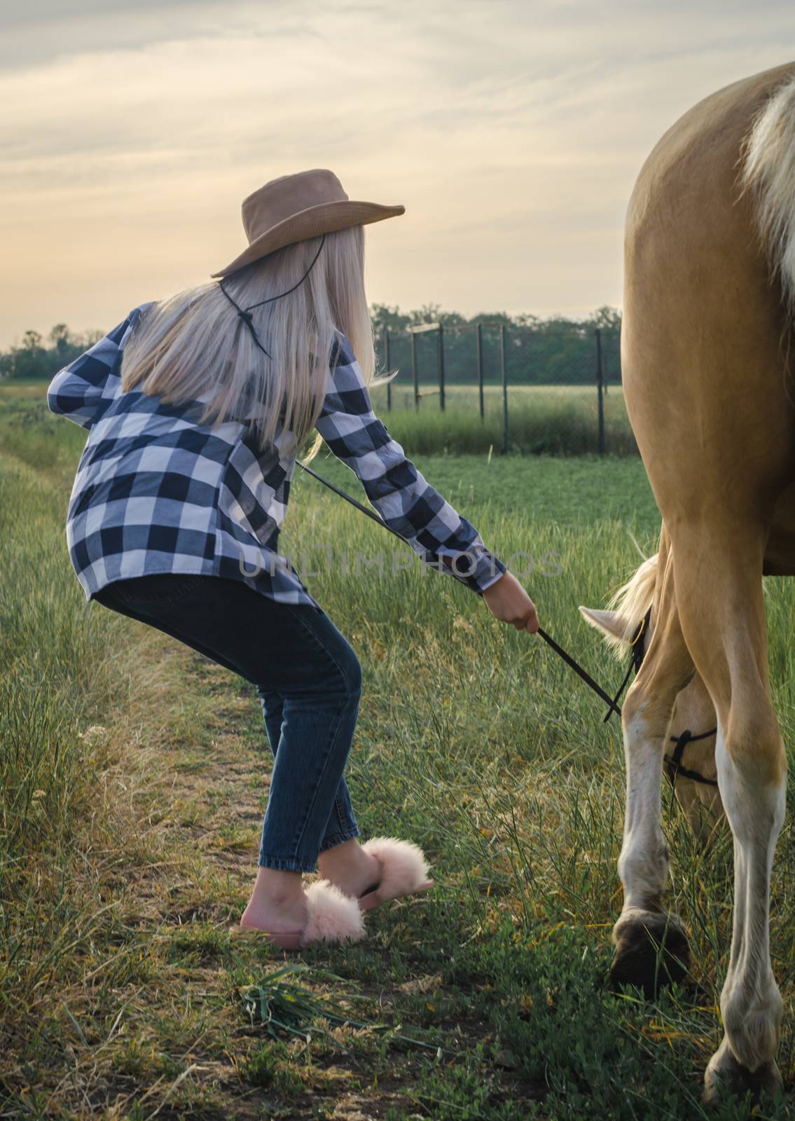 young blonde girl dressed in a hat and funny shoes pulls a horse on a farm in the village in the evening