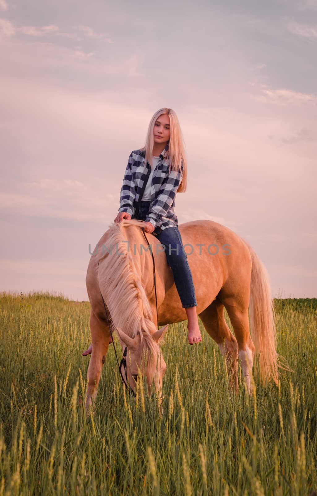 young blonde girl wearing blue jeans and a plaid shirt sits on a horse on the field
