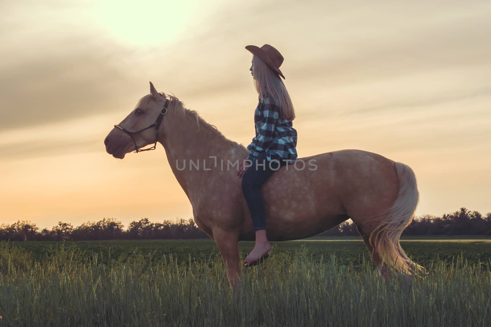 young girl dressed in a cowboy hat and blue jeans sits on a horse against the backdrop of the sunset