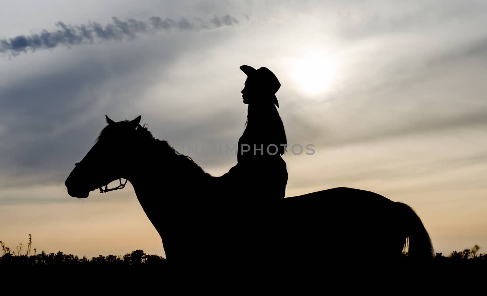 silhouette of a young girl with a hat on a horse on the background of sunset