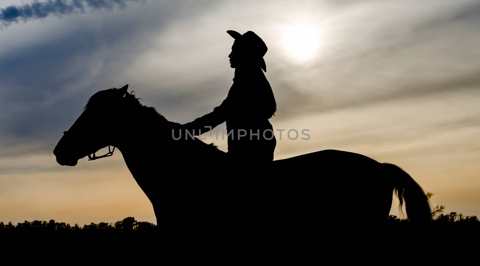silhouette of a young girl with a hat on a horse on the background of sunset