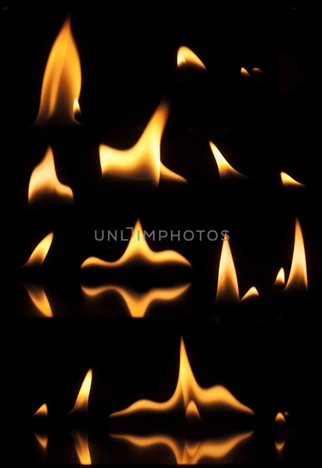 Fire on a black background. Studio shot flames