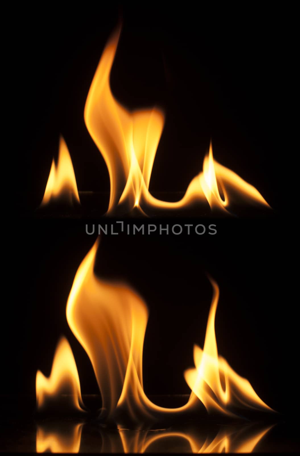 Fire on a black background. Studio shot flames