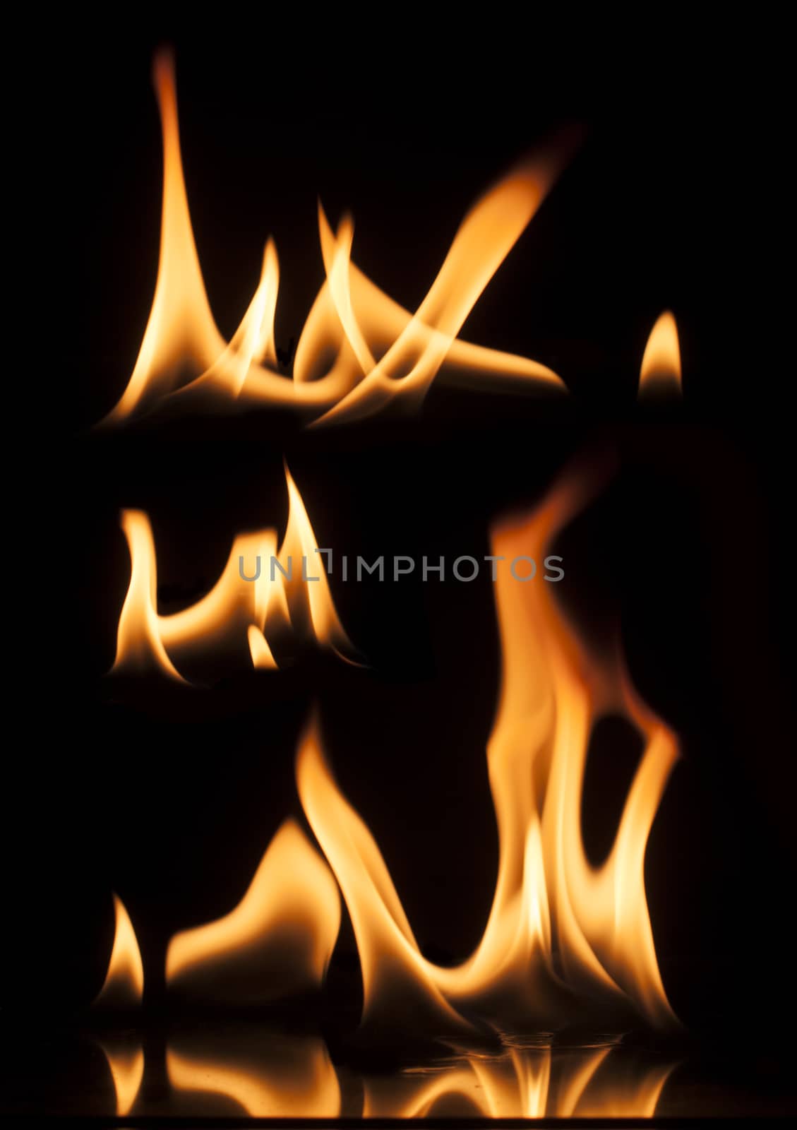 Fire on a black background. Studio shot flames