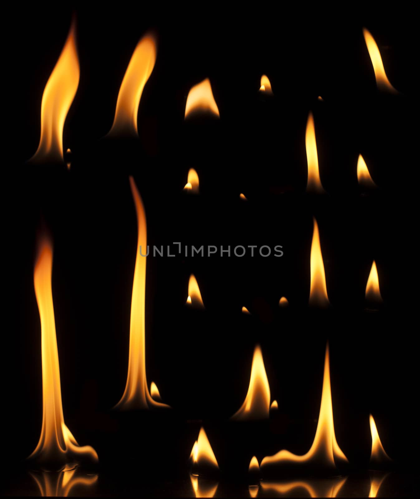 Fire on a black background. Studio shot flames