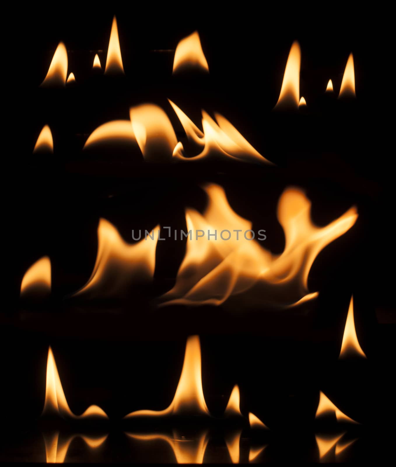 Fire on a black background. Studio shot flames