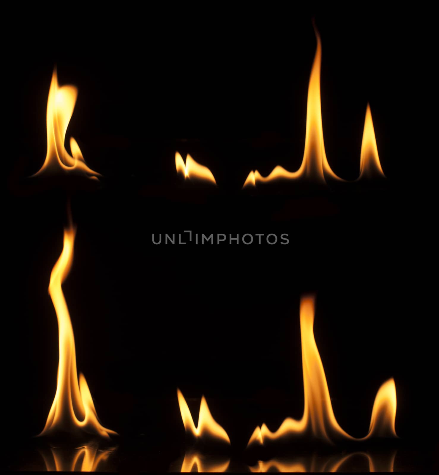 Fire on a black background. Studio shot flames