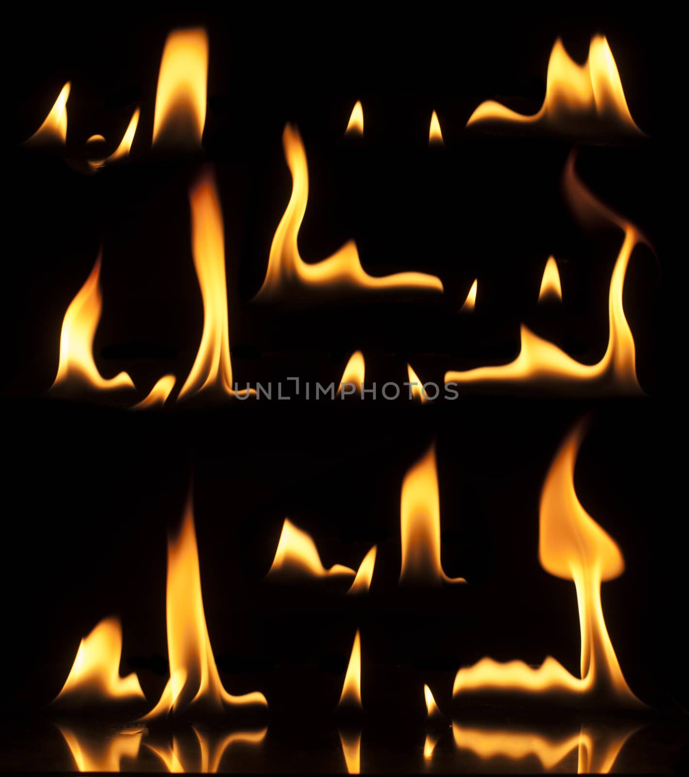 Fire on a black background. Studio shot flames