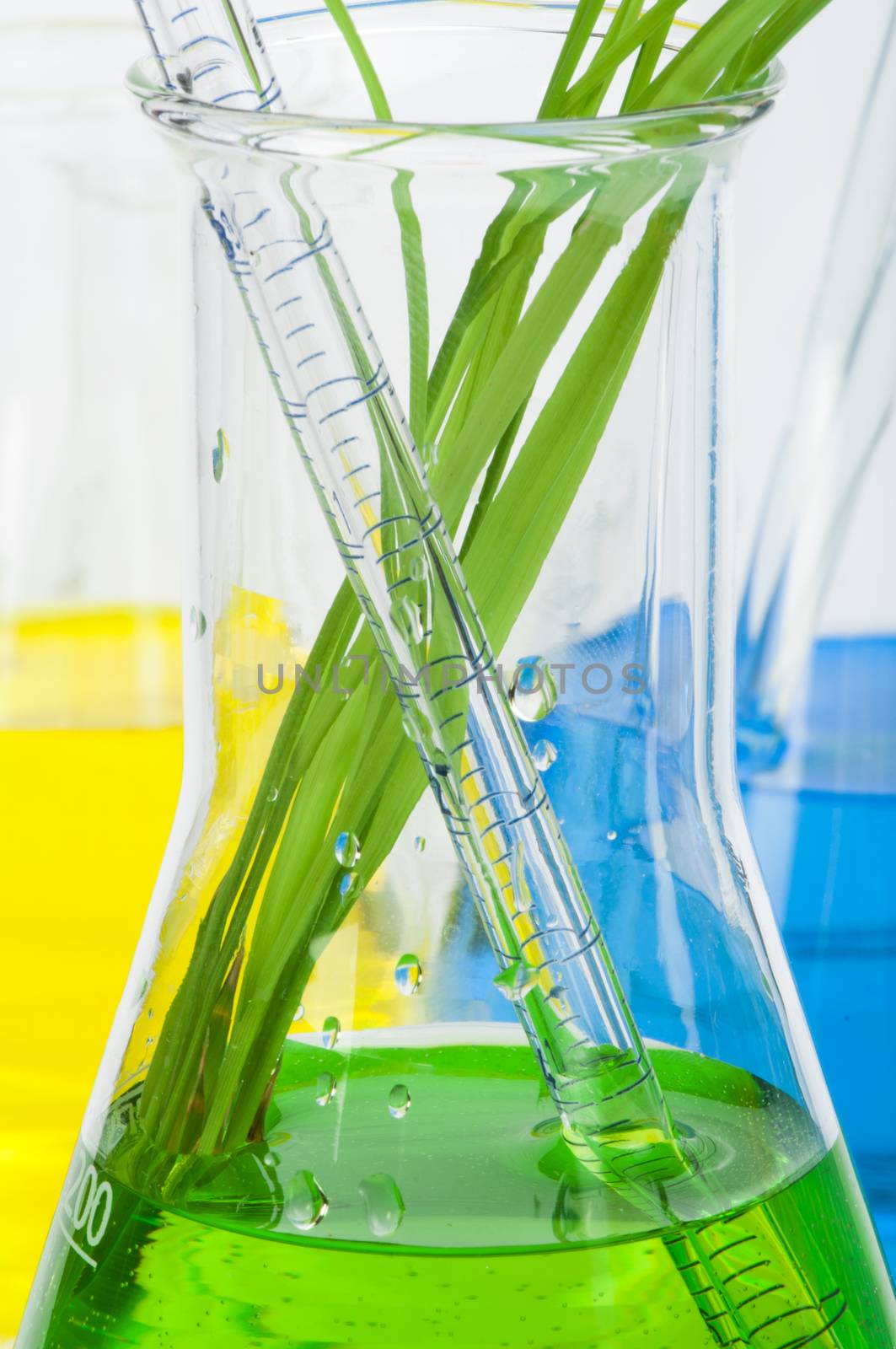 Green plants in laboratory equipment by deyan_georgiev