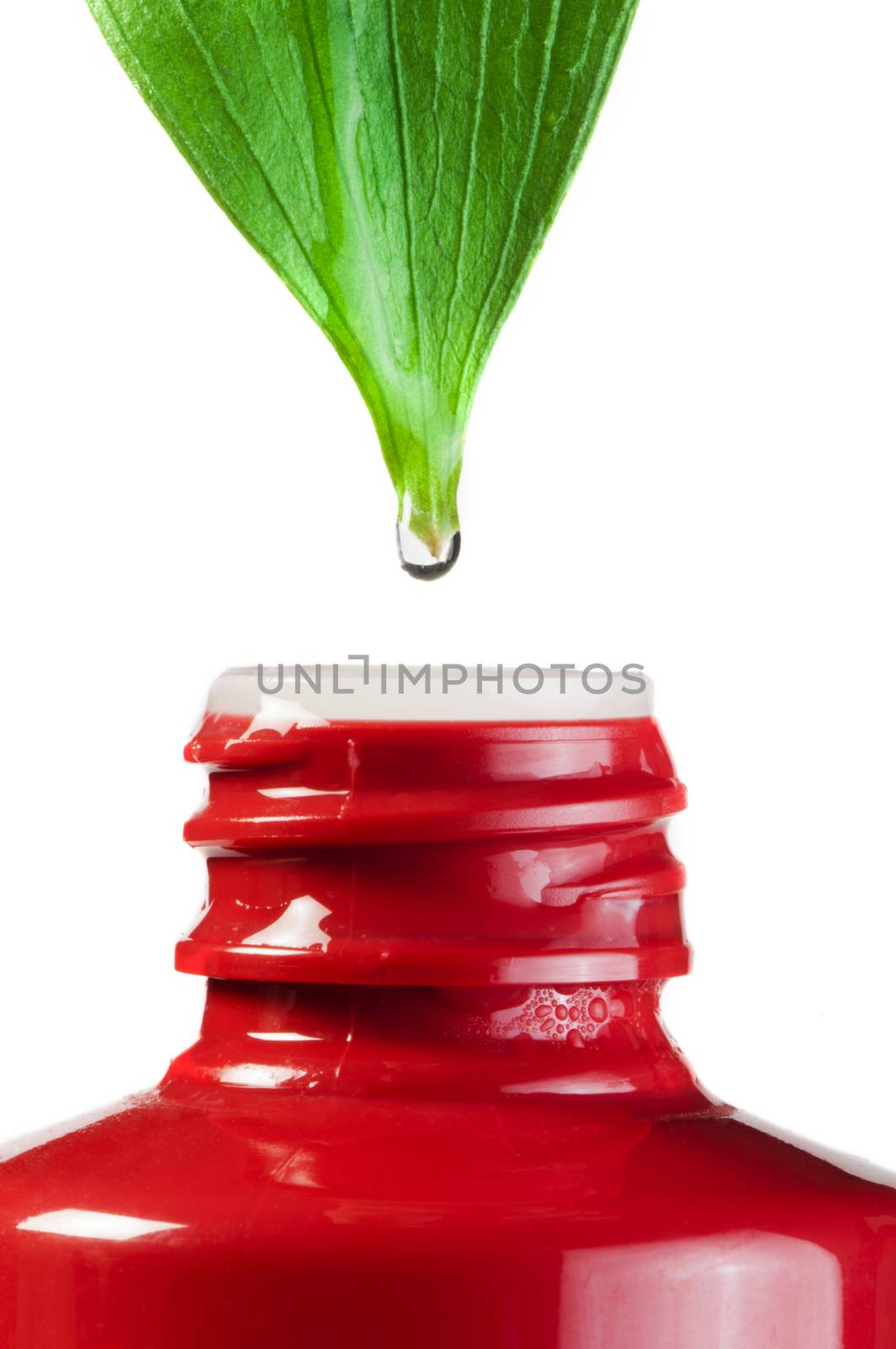 Green leaf and drop over a tube of cosmetics. White isolated