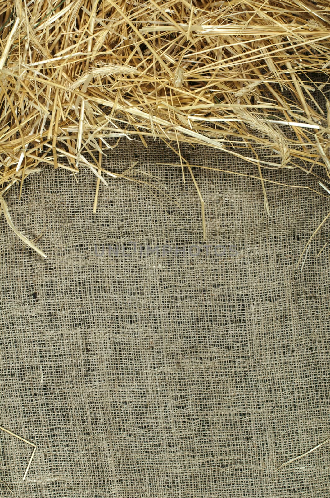 Straw on burlap and copy space. Studio shot.