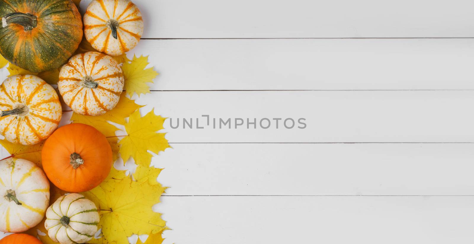 Many colorful pumpkins and maple leaves frame on white wooden background , autumn harvest , Halloween or Thanksgiving concept