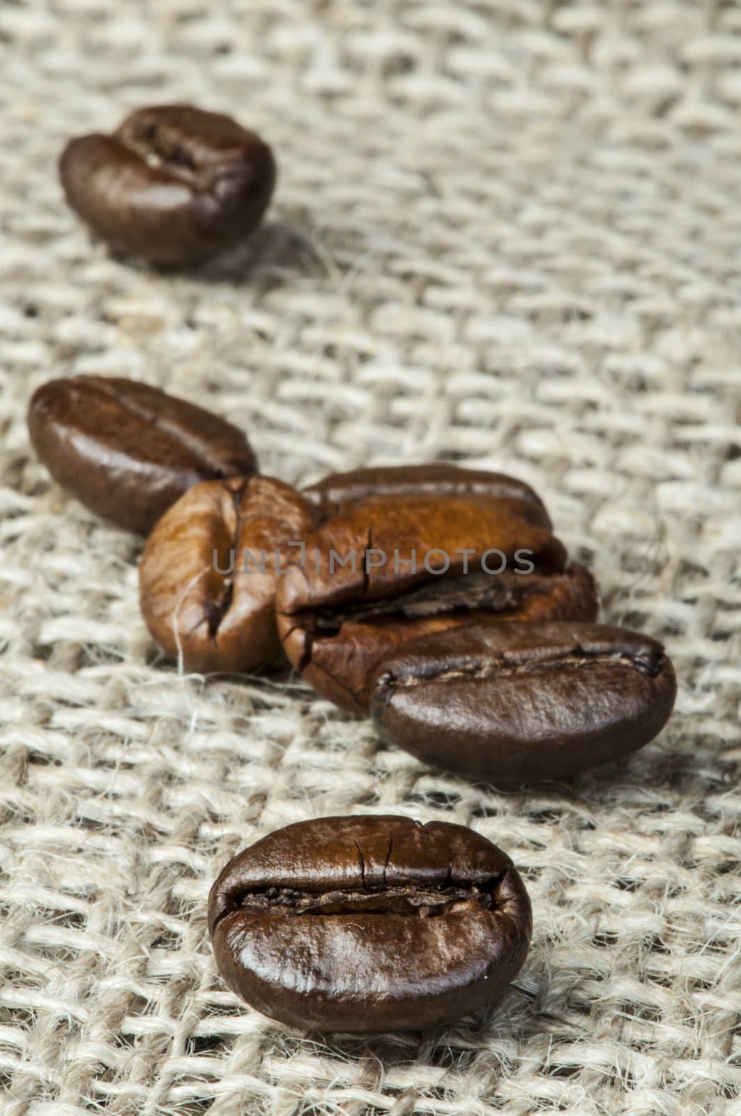 Coffee beans closeup on burlap