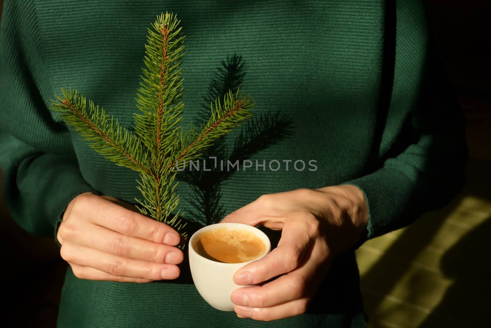 Woman is holding pine tree branch and an espresso cup