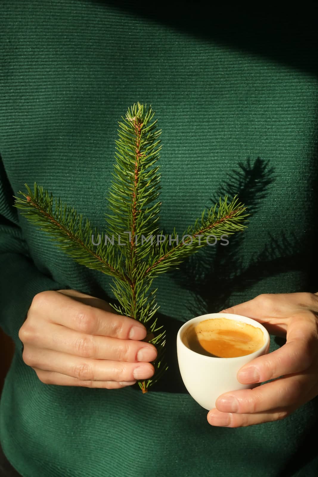 Woman is holding pine tree branch and an espresso cup