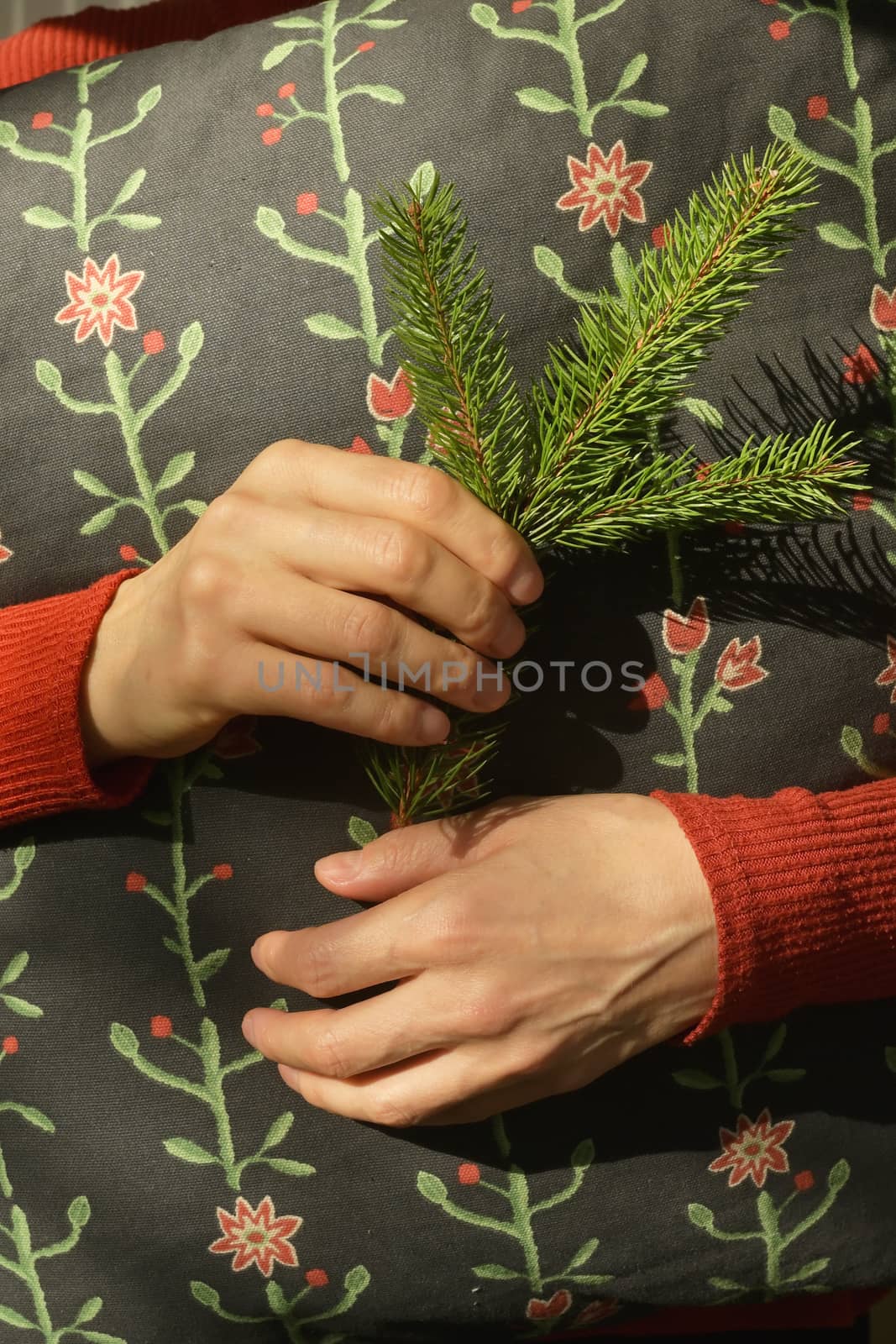 Woman is holding pine tree branch and pillow
