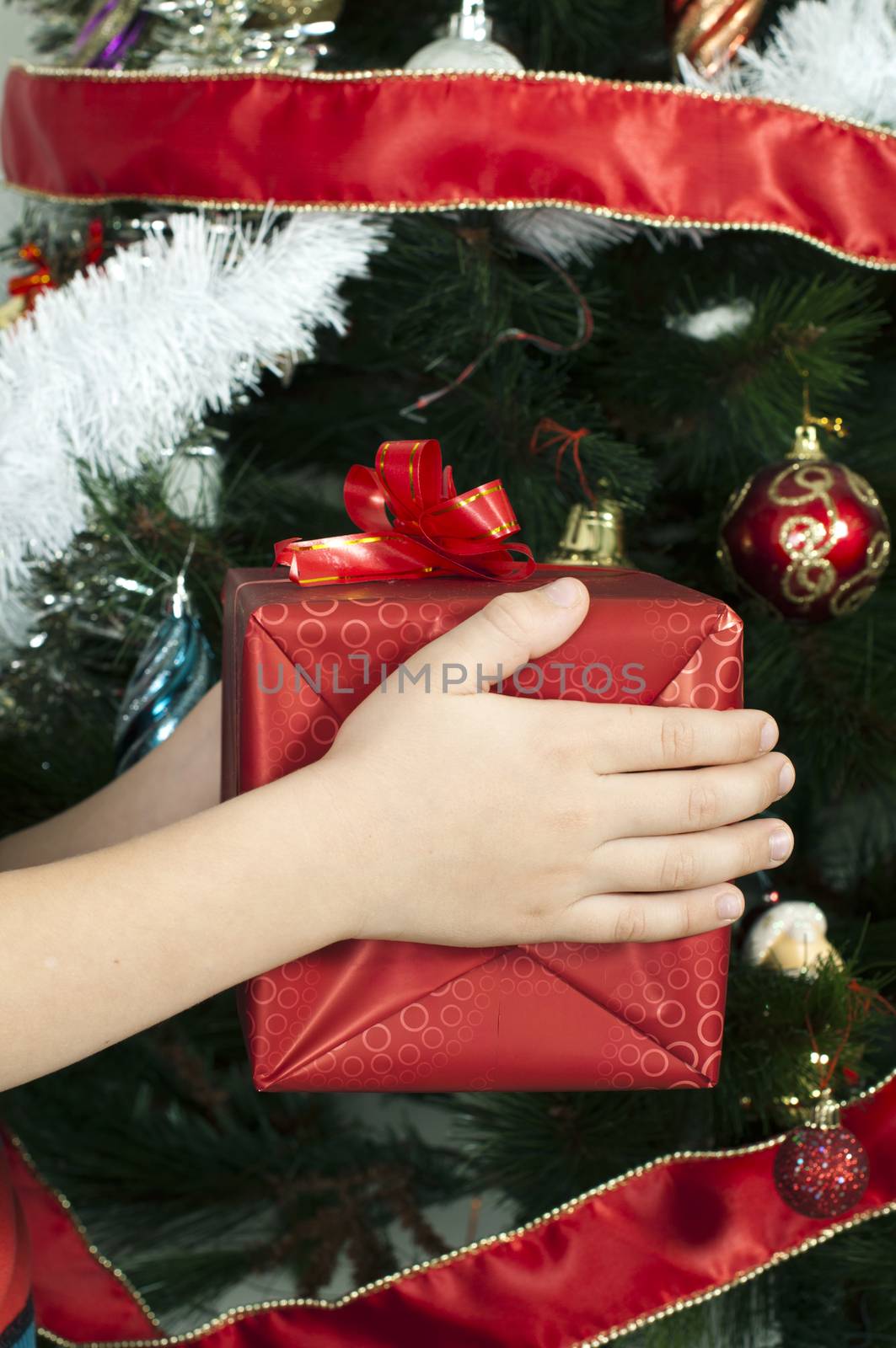 Children's hands holding Christmas gift in fron of the Christmass tree