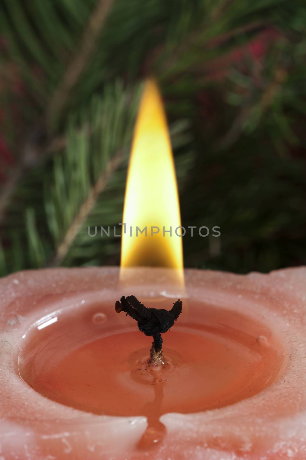 Christmas candle on the festive table by deyan_georgiev