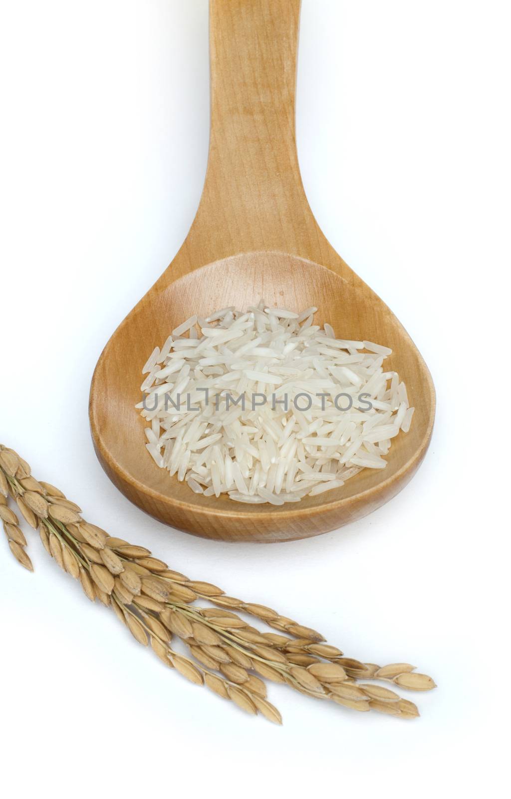 Basmati rice in wooden spoon on white background.Rice branch