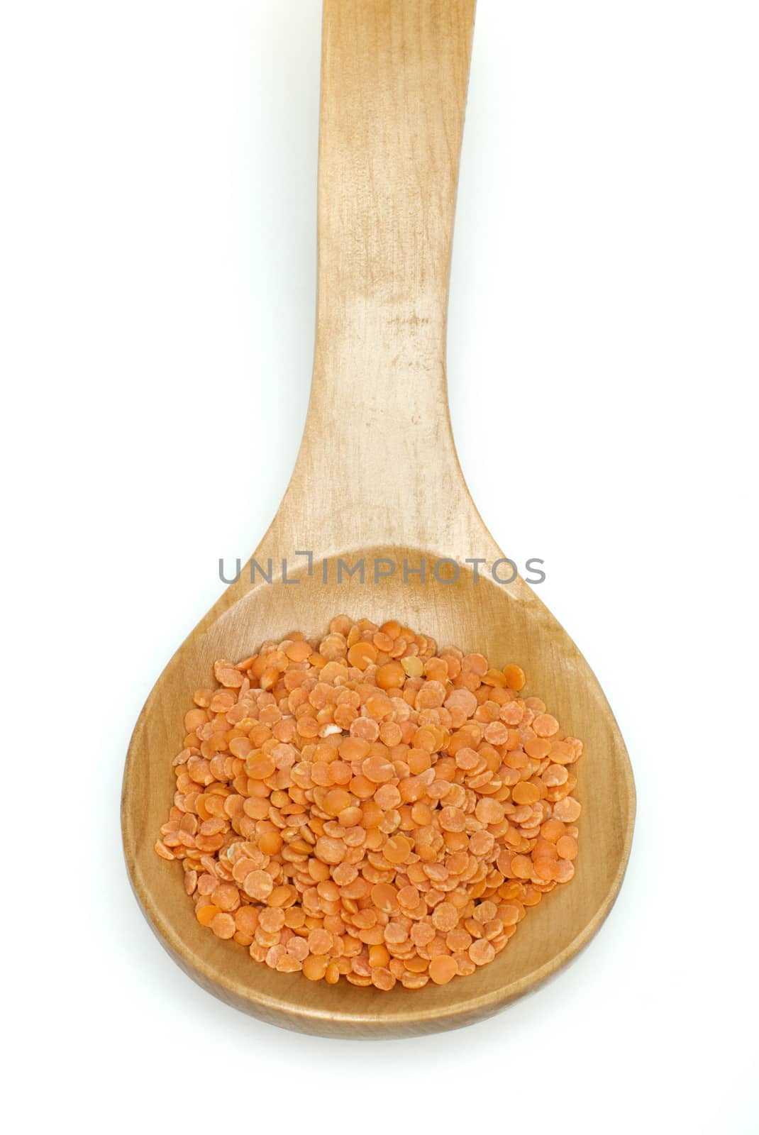 Lentil split in wooden spoon on white background