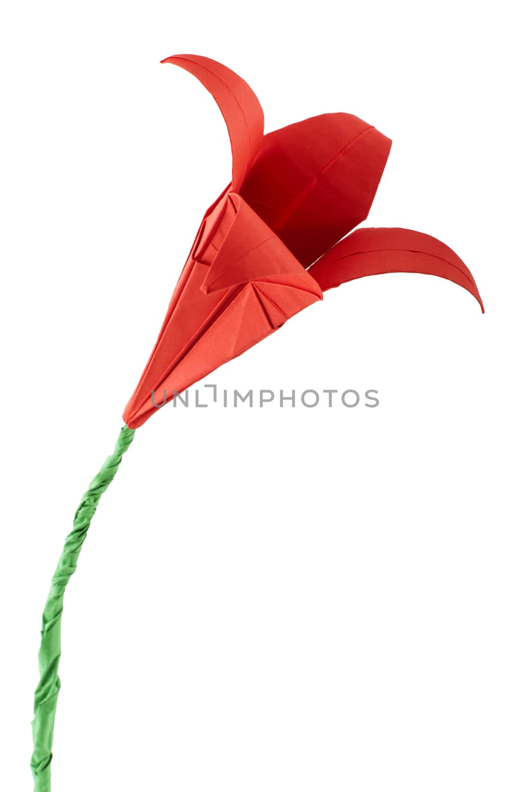 Red Flower origami white isolated. Paper made flowers.