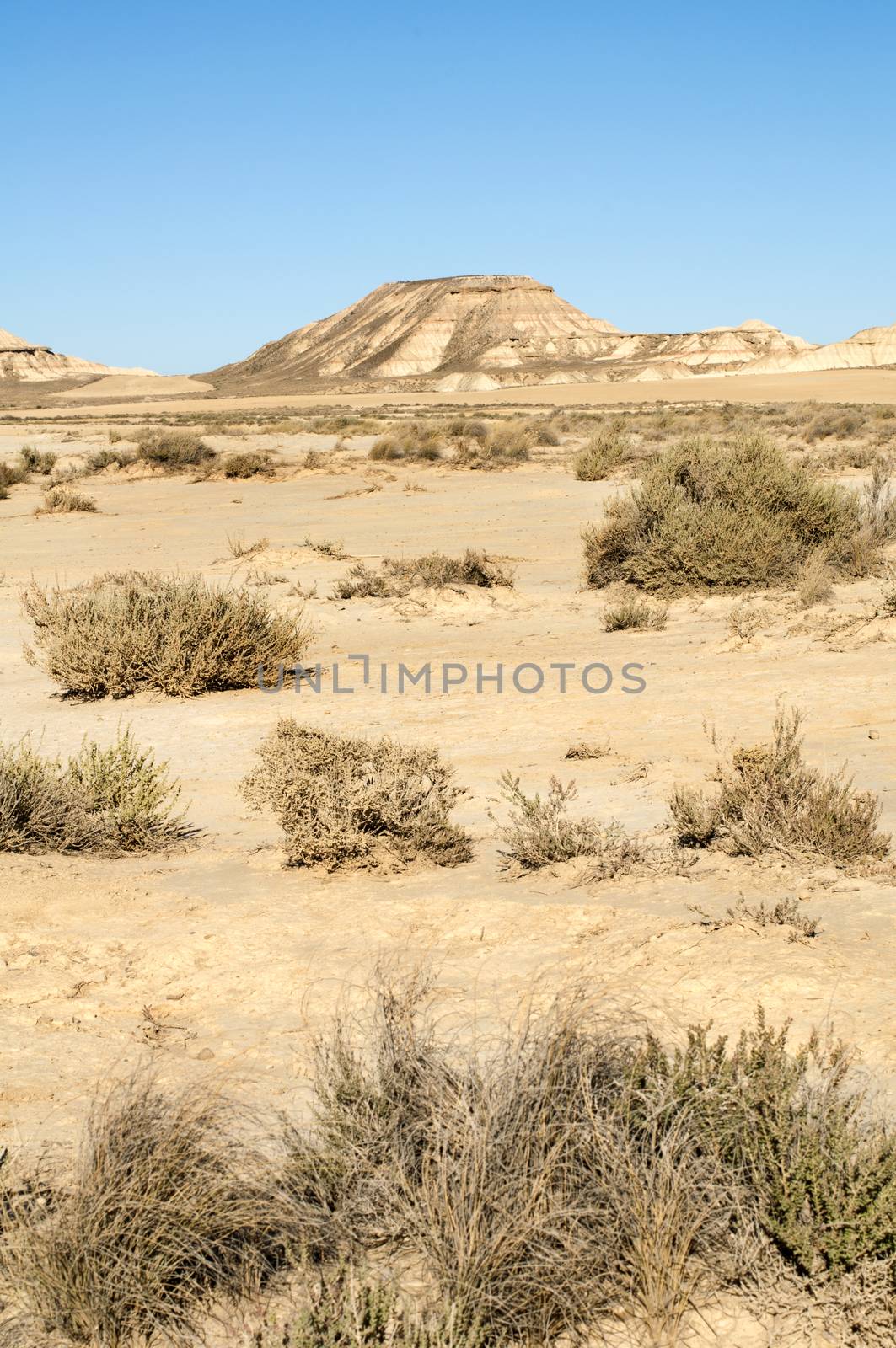 Red Desert. Wild west landscape